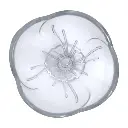 AZUR GLASS Coffret De 6 Coupes Glace SANRMEO 25 cl (2).webp